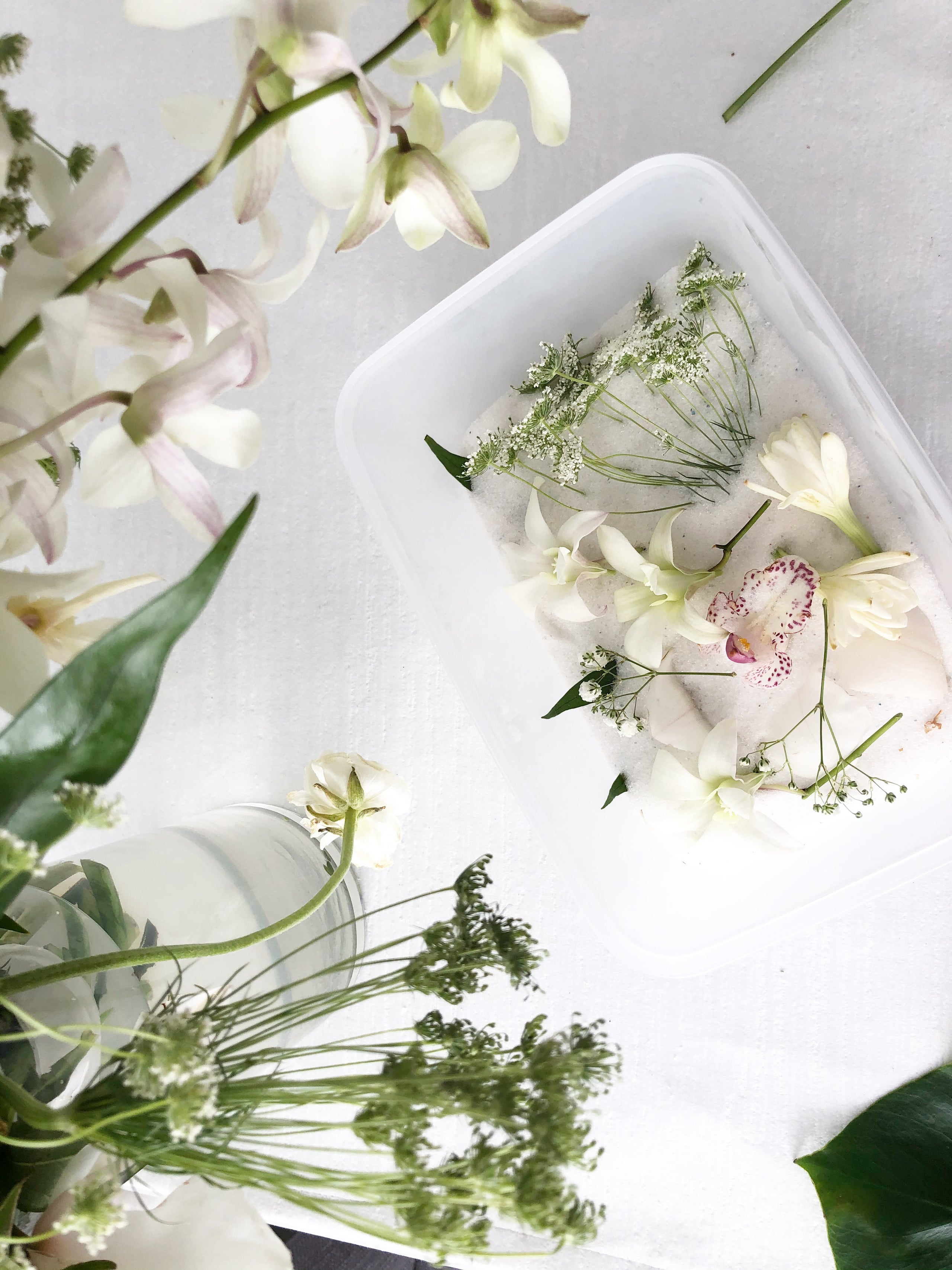 flower preservation kit｜TikTok Search